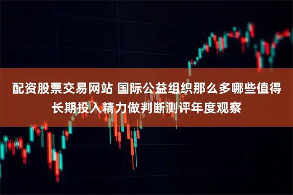 配资股票交易网站 国际公益组织那么多哪些值得长期投入精力做判断测评年度观察